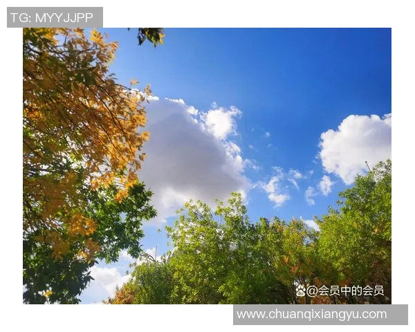 足球的足与人生的旅程如何交织成一幅精彩的画卷 足球的足与人生的旅程如何交织成一幅精彩的画卷