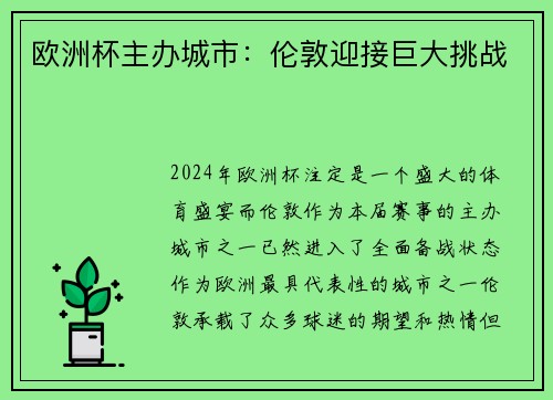 欧洲杯主办城市：伦敦迎接巨大挑战