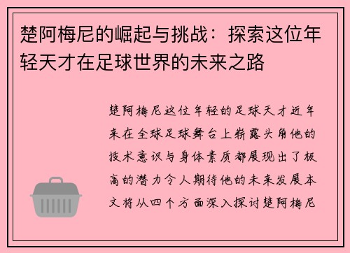 楚阿梅尼的崛起与挑战：探索这位年轻天才在足球世界的未来之路