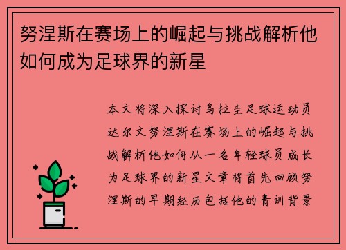 努涅斯在赛场上的崛起与挑战解析他如何成为足球界的新星