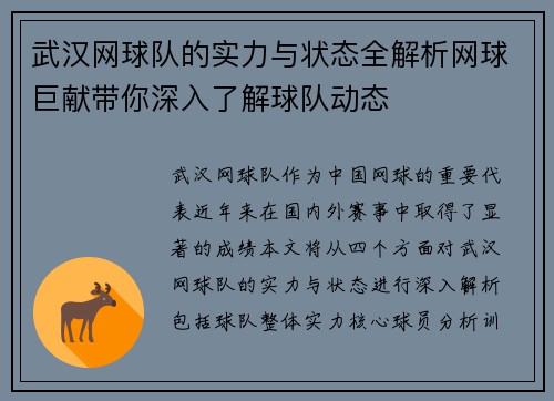 武汉网球队的实力与状态全解析网球巨献带你深入了解球队动态